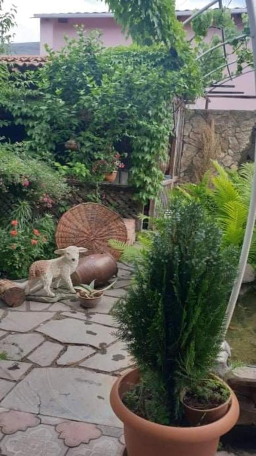 Tamar Guest House Gori Bagian luar foto