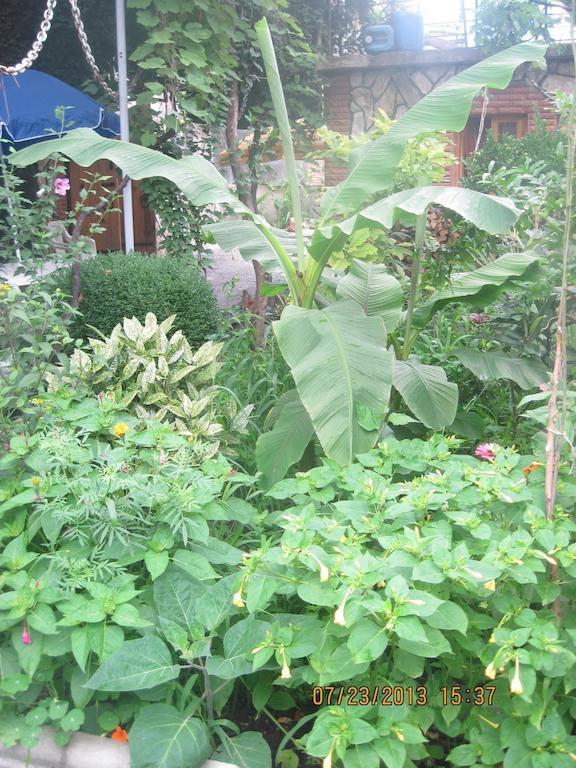 Tamar Guest House Gori Bagian luar foto